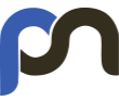 Poyraz Network Logo